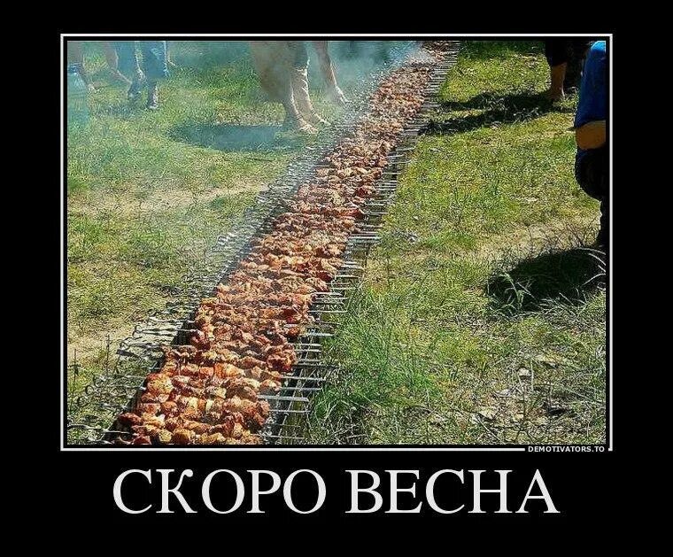 Приколы про весну.