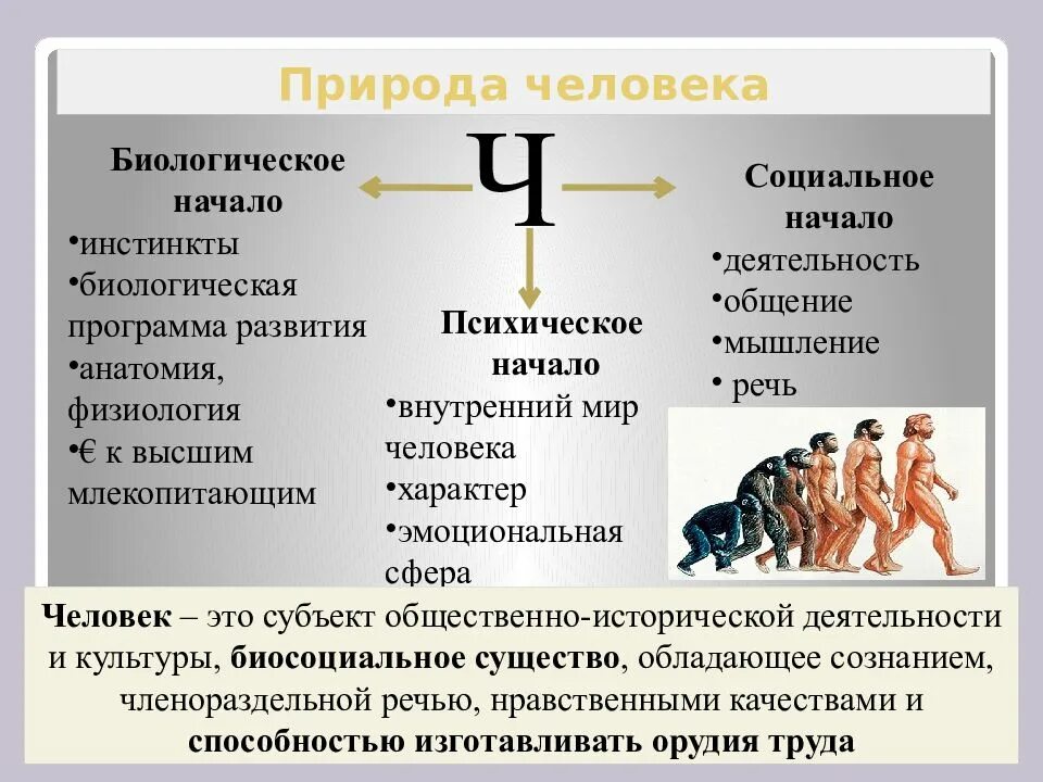 Биологическая природа человека. Социальная природа человека. Биологические инстинкты. Биосоциальная природа человека