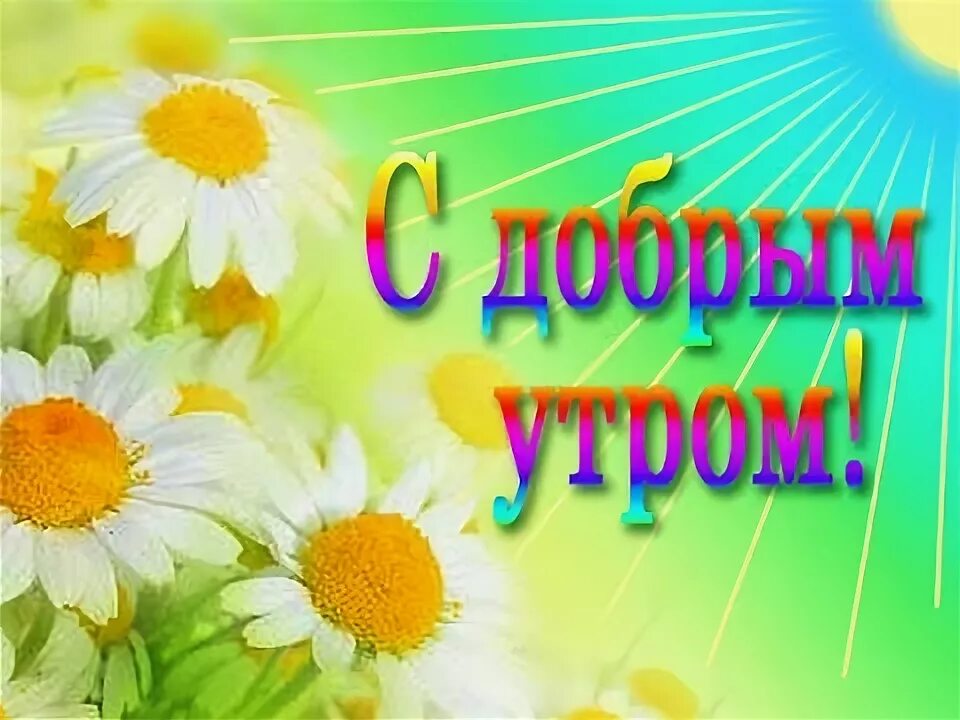 Пин от пользователя Firefrol на доске Поздравления Цветы