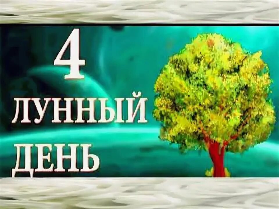 Древо познания добра и зла. Растущая луна первая фаза. Четвертые лунные сутки. 4 лунный день характеристика дня. Символ 4 лунный день.