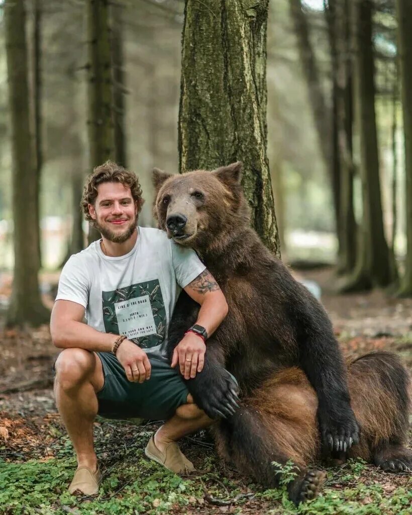 Медведь тома. Медведь том фотосессия. Топик с медведем. Медведь тома. Медведь степан шапша.