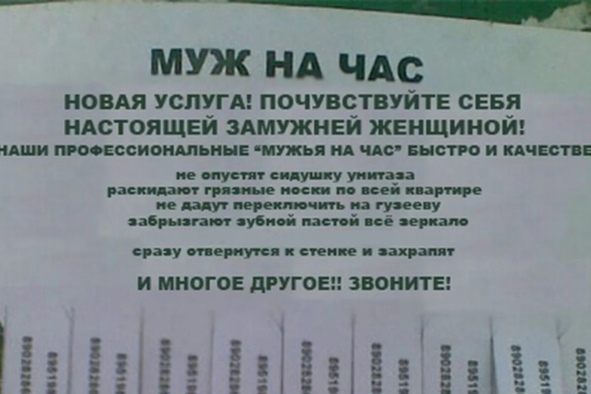 Муж на час 2023. Муж на час прикол. Муж на час объявление прикол. Муж на час смешные объявления. Муж на час шутки.