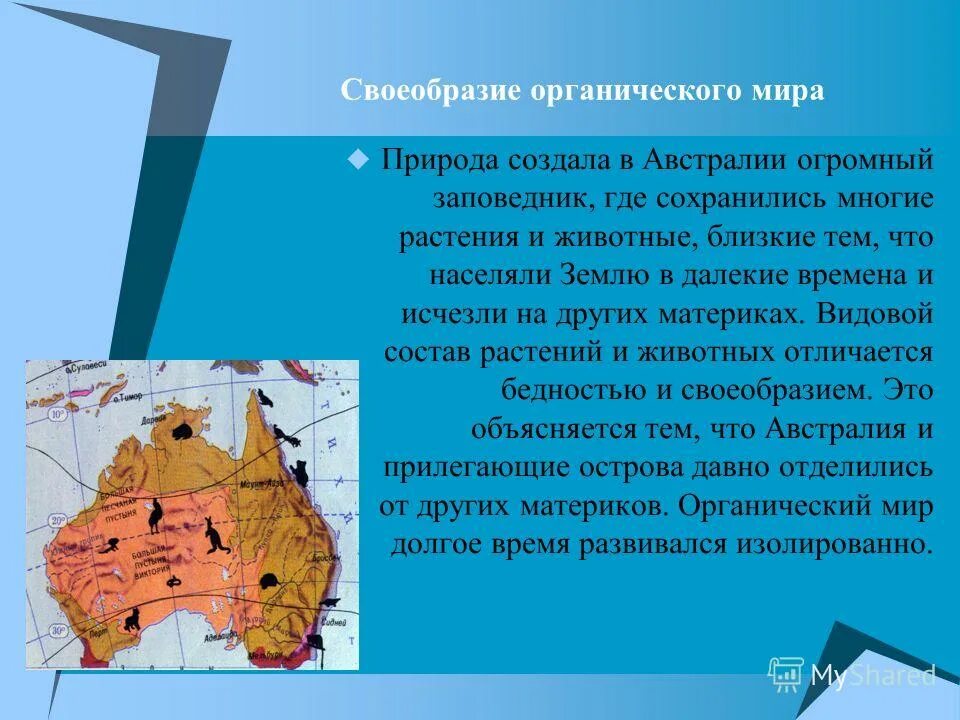 животный мир австралии 7 класс география. животный мир австралии 7 класс география. материк австралия растительный мир. органический мир австралии. животный мир австралии для детей.