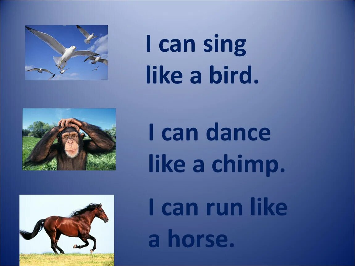 Can you Sing like a Bird стих. Проект по английскому языку i can Sing and i can Dance. I can Run like a Horse. I can Dance i can Sing Sing. L like singing