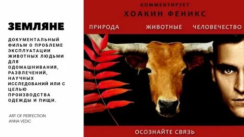 Земляне отзывы