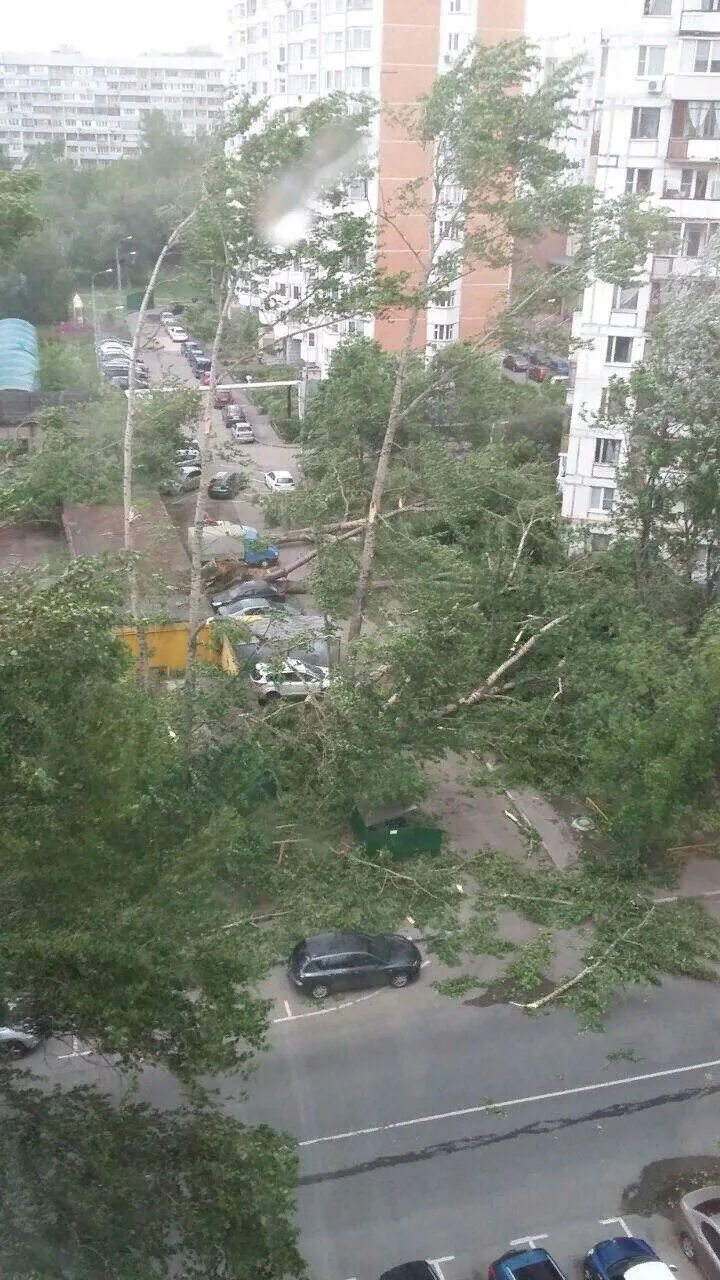 Ураган в москве вчера. Ураган в Москве. Ураган в МСК 2017. Шторм в Москве 2017. Московский ураган в мае 2017.