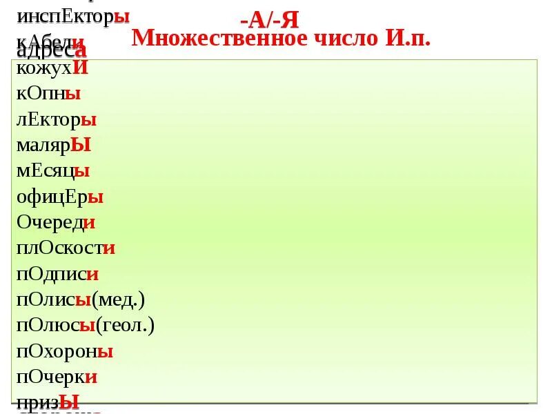 Множественное слово месяц. Маляр множественное число. Полис мн число. Месяц множественное число. Ударение в словах множественного числа.