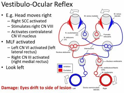 Head moves