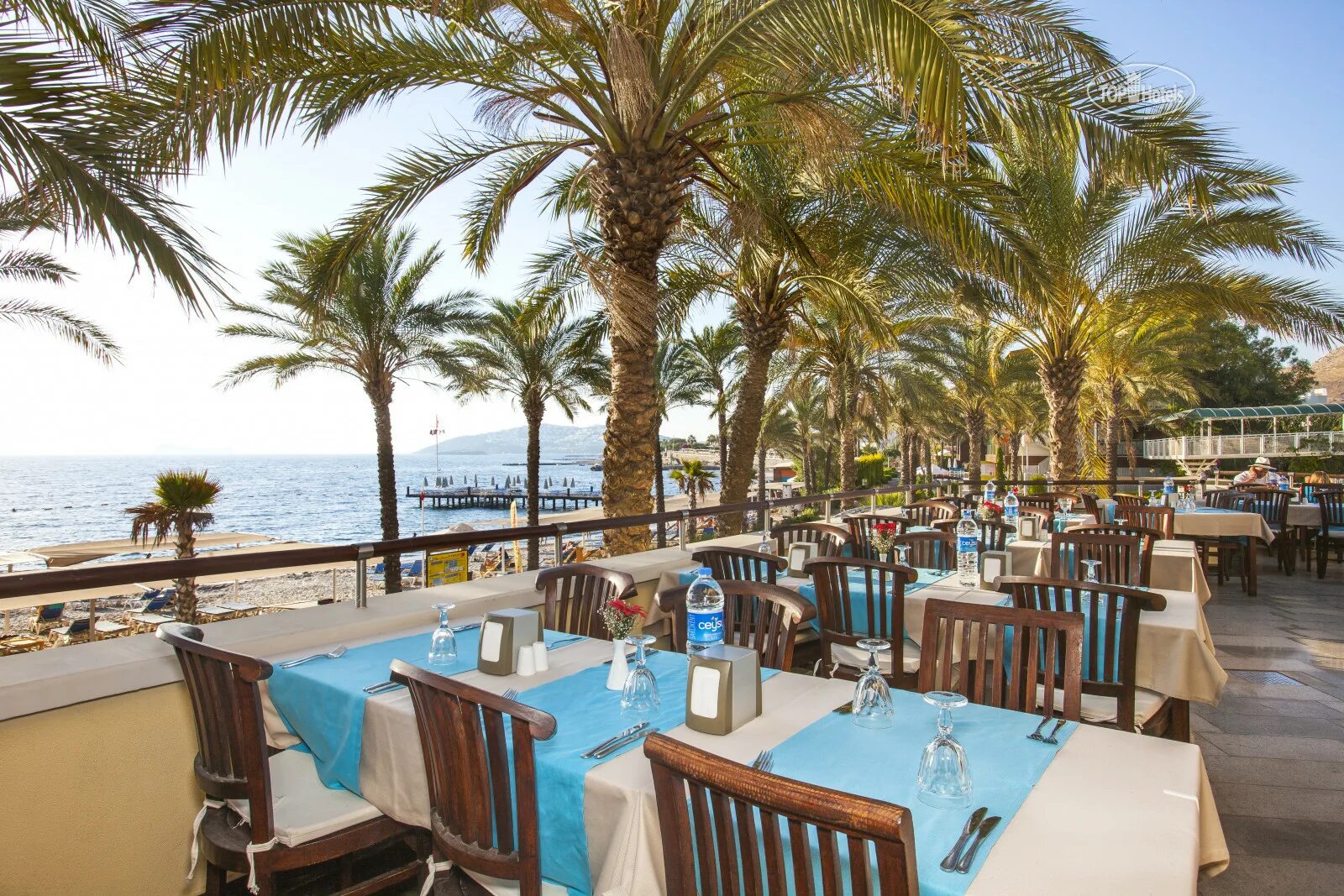Arin resort 5. Sundance resort) 5*. Arin resort 5. Арин резорт бодрум. Arin resort bodrum 5.