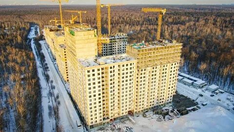 Жк лес екатеринбург