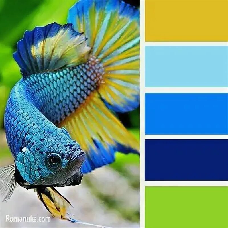 Pin by Kara Niemela on Interior paint colors Color schemes colour palettes, Colo