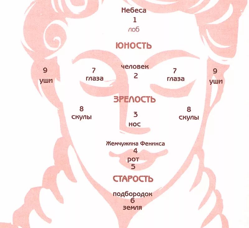 Точки богатства. Проекция органов на лице. Проекция органов на лице человека. Точки богатства на лице. Карта лица.