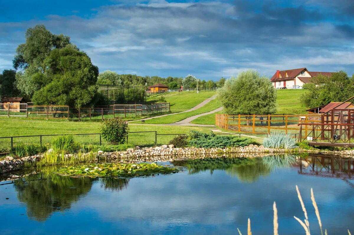 Деревня воробьи калужская область парк птиц. Парк воробьев в калужской области. Парк птиц территория. Парк птиц воробьи калужская область. Парк птиц калужская область.