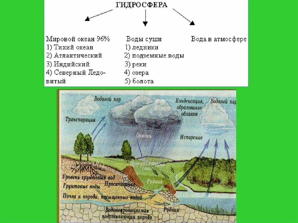 Биосфера ее структура и функции. Структура биосферы и функции ее живого вещества. Структура биосферы примеры. Структурные части биосферы. Задания по теме биосфера