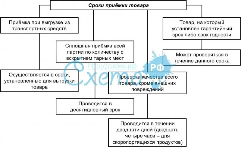 Инструкции госарбитража ссср п 7. Сроки приемки товаров. Сроки приемки продукции по количеству. Схема приемки товаров по количеству. Сроки приемки товаров по качеству.