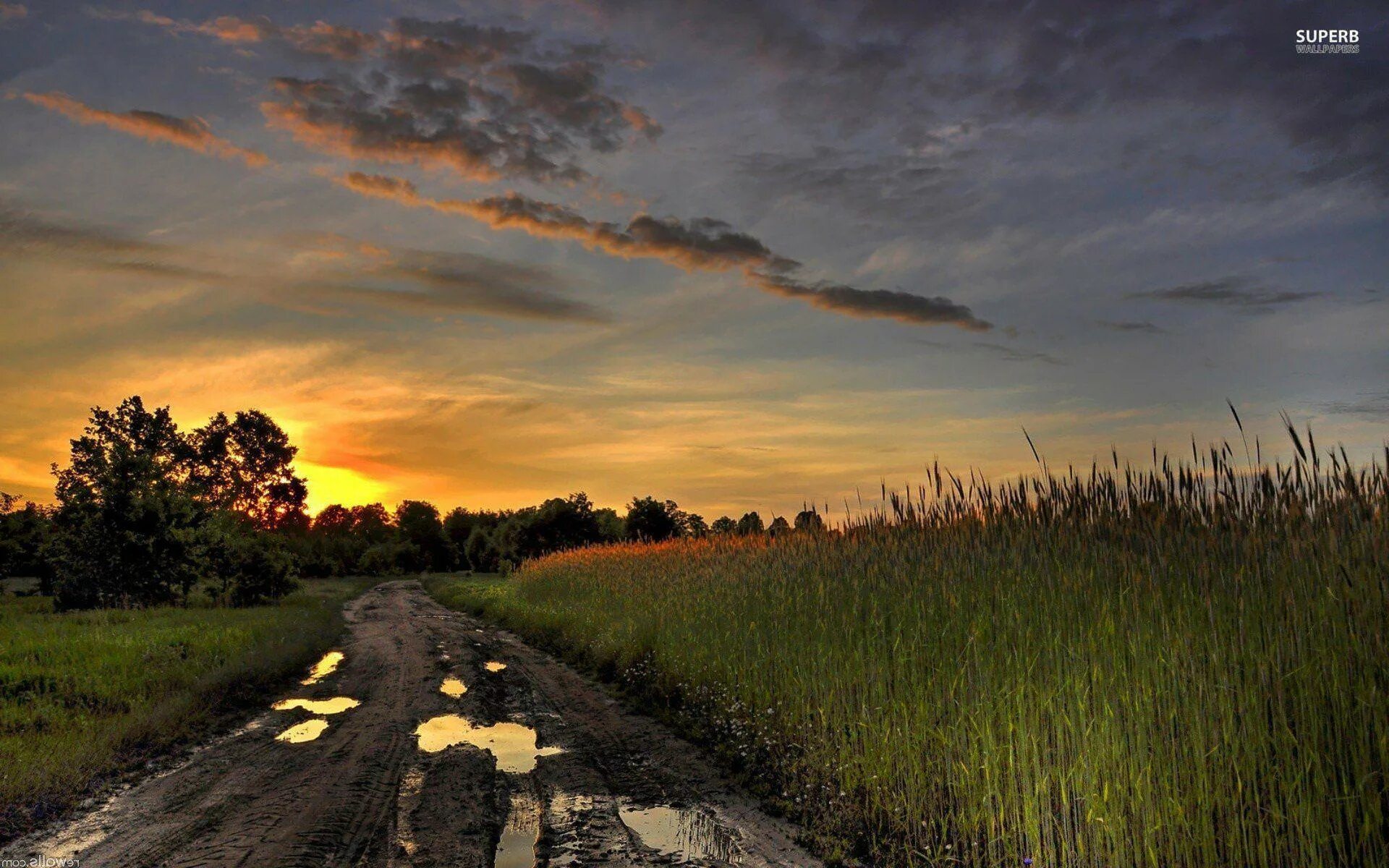 Деревня природа Проселочная дорога. Пейзаж с дорогой. Сельская дорога. Летняя дорога.