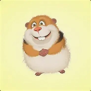 Хомяк 9 июля шмфр