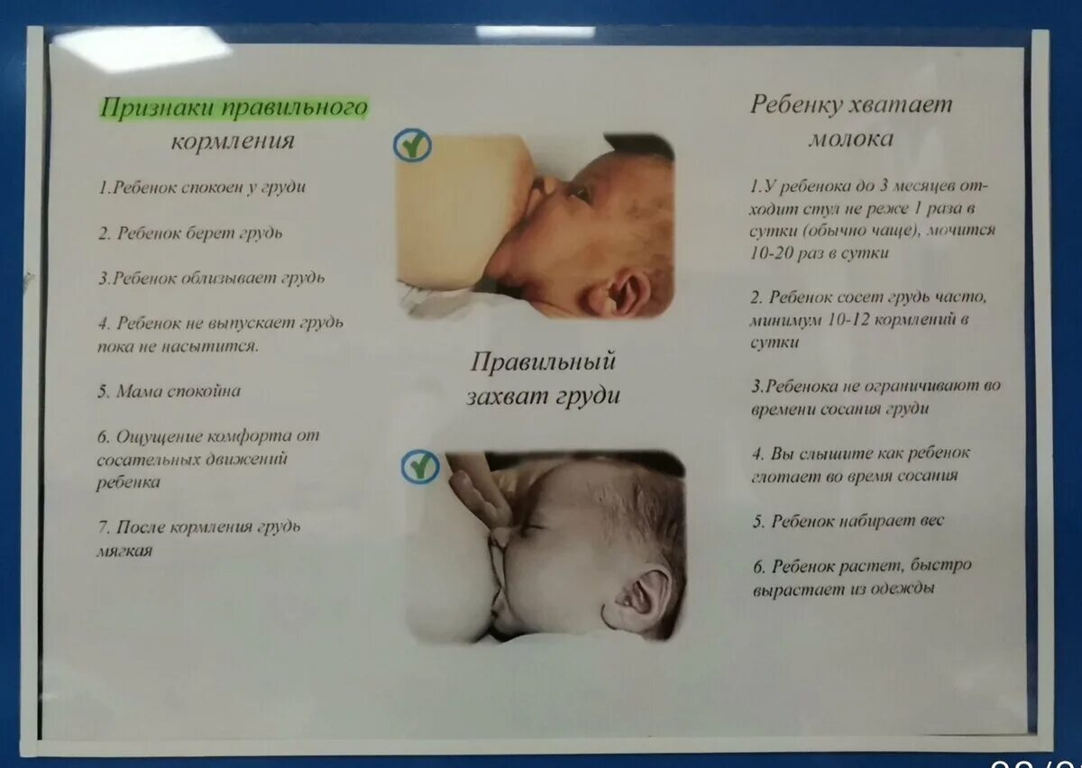 Ощущение прилива в грудях. Ощущение прилива в грудях