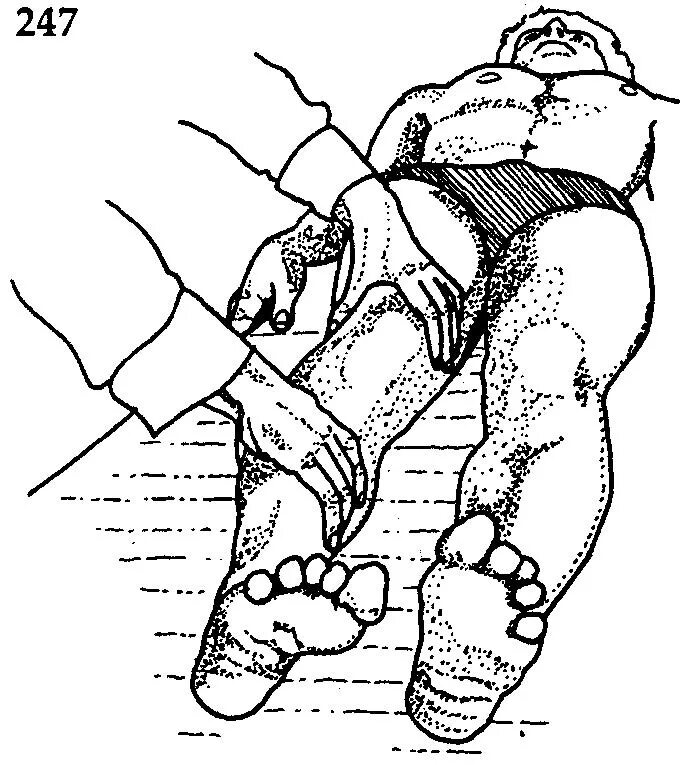 движения в грудном отделе. внутренняя и наружная ротация в тазобедренном суставе. симптом переднего выдвижного ящика в коленном суставе. тест ротация. функциональное тестирование мышц.