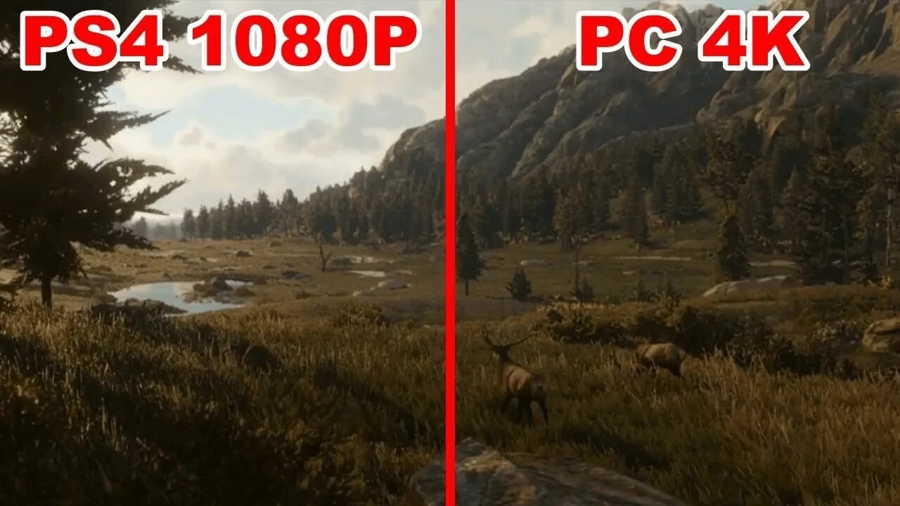 Как настроить рдр. Red Dead Redemption 2 PLAYSTATION. Rdr 2 ps4. Тесселяция rdr2. Ред дед редемпшен 2 ps4.