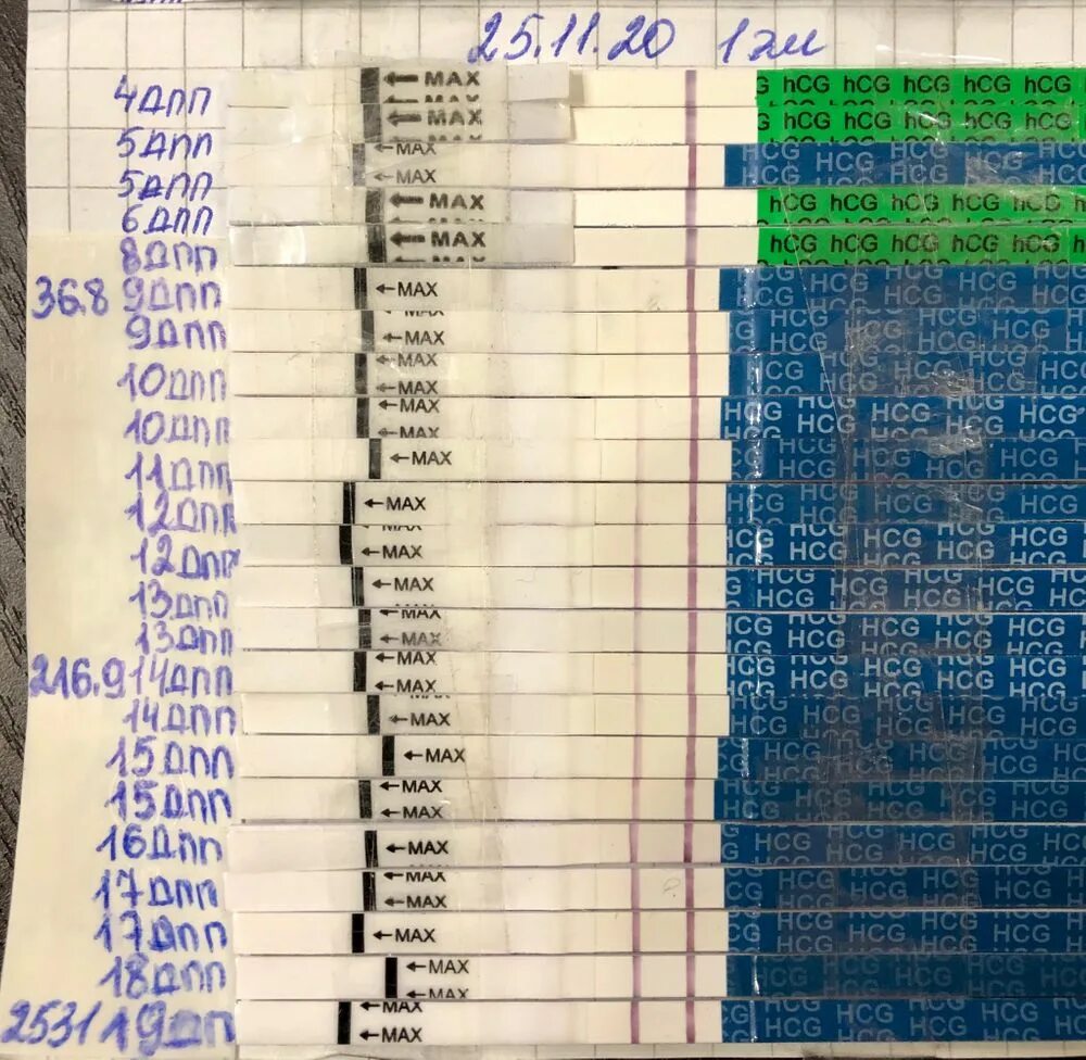 9 дпп тесты форум. ХГЧ на 9 ДПП пятидневок норма. ХГЧ эко 10 ДПП. ХГЧ на 9 день после переноса пятидневок. ХГЧ по дням ДПП 5.