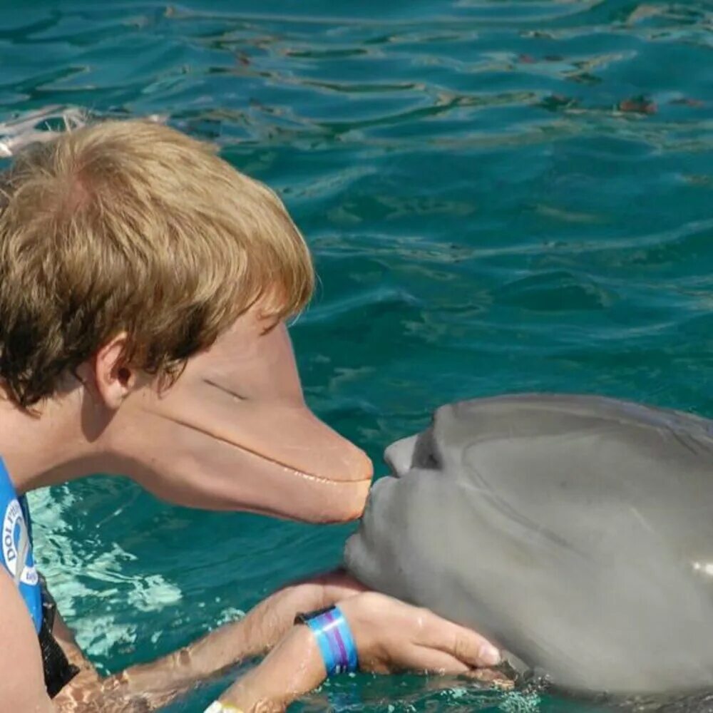 Есть ли дельфин людей. Человек Дельфин. Самец дельфина. Поцелуй дельфина.