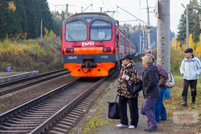 Электрички Пермь Шаля. Электричка Пермь. Пригородный поезд Пермь. Городская электричка Пермь. Электричка пермь 1 молодежная сегодня