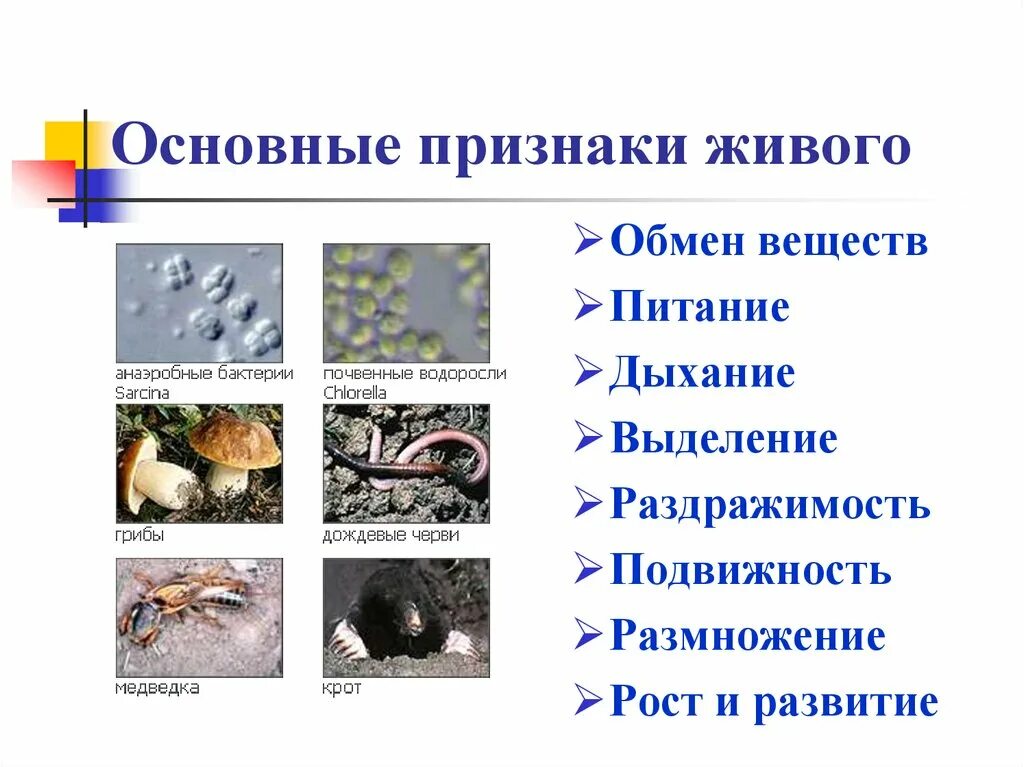 Жизнь основные признаки живого. Признаки живого. основные основные признаки живого. основные признаки живова. признаки живого вещества.