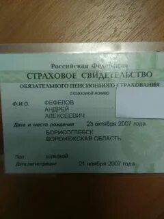 Как узнать кому принадлежит снилс по номеру