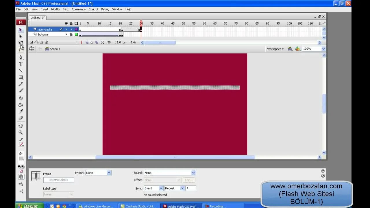 Flash сайты примеры. Flash дизайн. Adobe flash player иконка. Flash 8. Flash web.