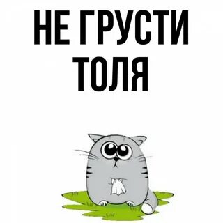 Картинка толя