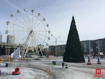 Елка в новокузнецке