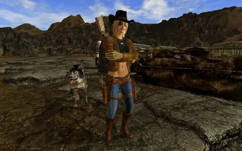 Nexus mod fallout