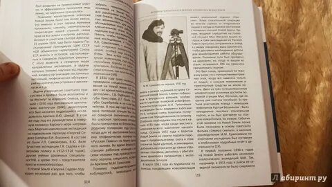 История без имени