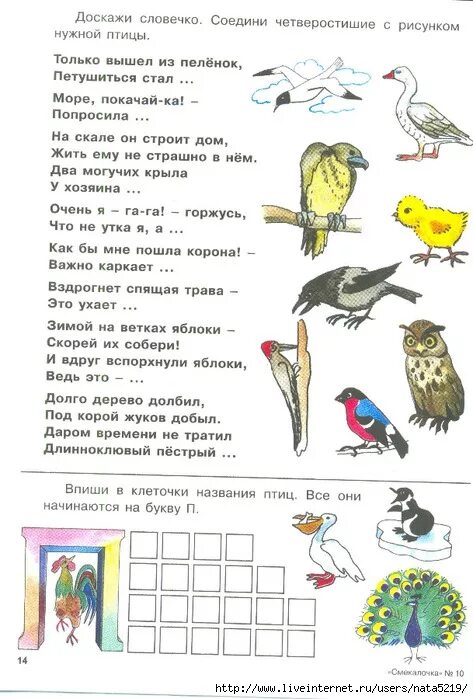 Птицы задания для детей. Задачи про птиц для дошкольников. Птицы задания для дошкольников. Задания весенние птицы для дошкольников.