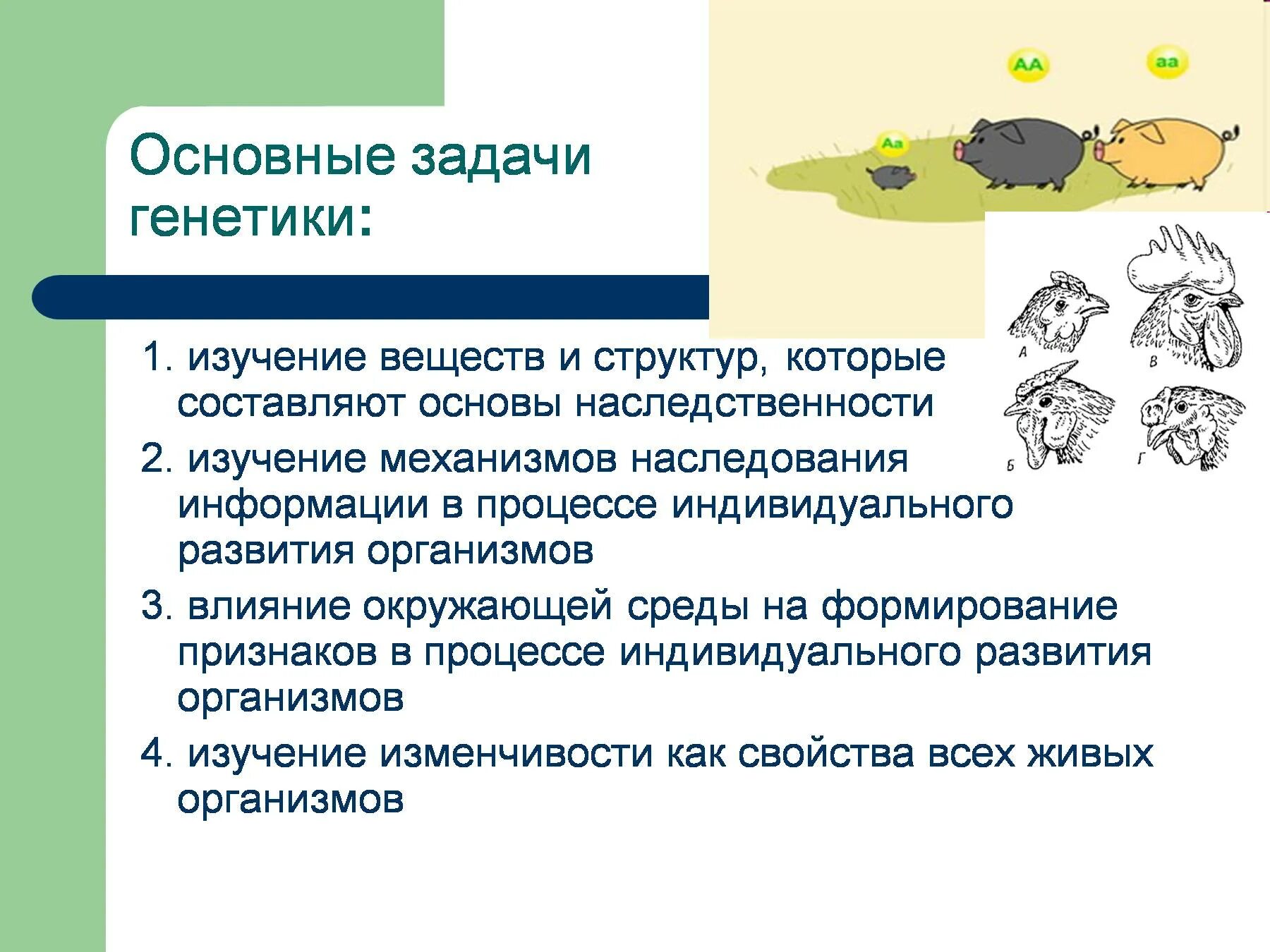 Предмет и задачи педагогической психологии. Структура проведения исследования. Структура опроса. Структура урока истории. Структура написания исследовательского проекта.
