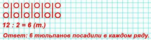 Задача про тюльпаны 2 класс. Посадили 12 тюльпанов по 6 тюльпанов в каждом ряду. Посадили 12 тюльпанов по 6 схематический рисунок.