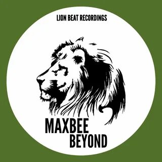 Lion beats