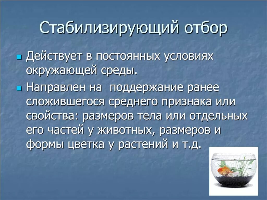 Результатом стабилизирующего отбора является