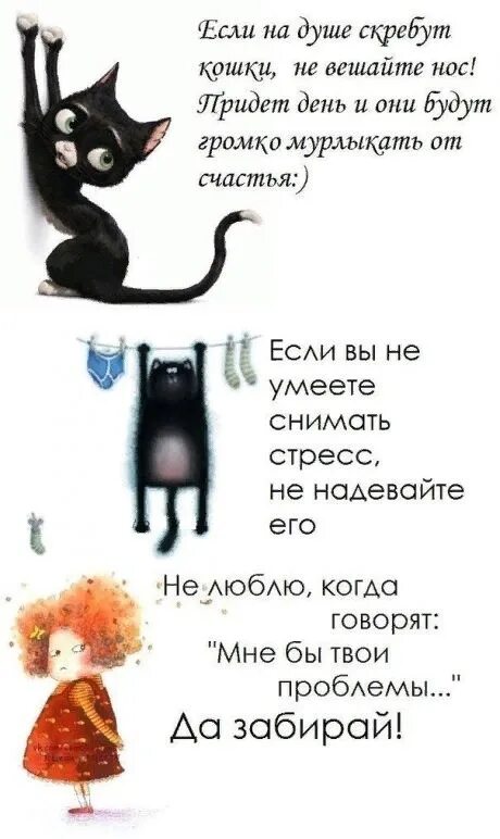 Цитаты про кошек смешные. Смешные фразы про кота. Высказывания о котах. Цитаты о котах.