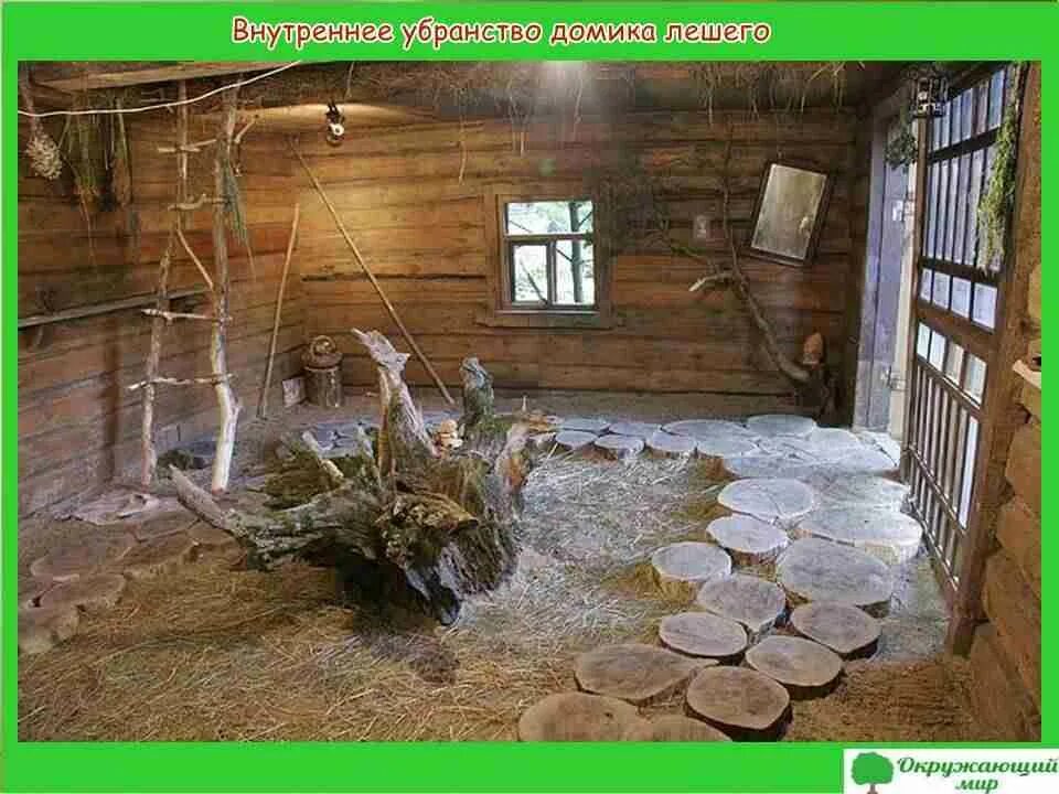 Домик лешего. Приокско-террасный заповедник дом лешего. домик лешего в приокском заповеднике. жилище лешего. избушка лешего.