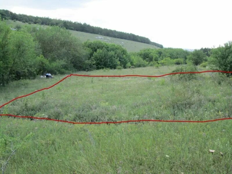 Купить участок в симферополе. Участки под симферополем. Пгт зуя фото. Урожайное симферопольский район. Луговое симферополь лес.