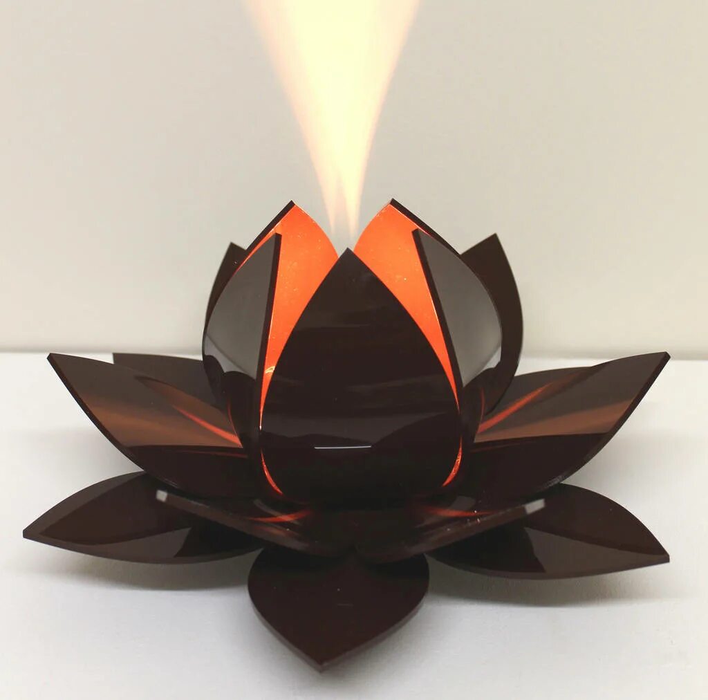 Lotus lamp приложение. Лотос коричневый. цветок лотоса коричневый. красно коричневый лотос. lotus table lamp.