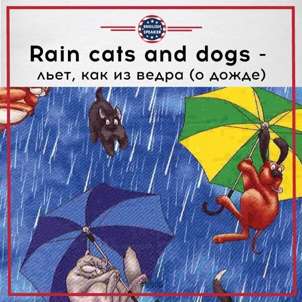 Как по английски будет дождь. Raining Cats and Dogs идиома. Дождь льёт как из ведра на английском. Льёт как из ведра фразеологизм. Идиомы it's raining Cats and Dogs.