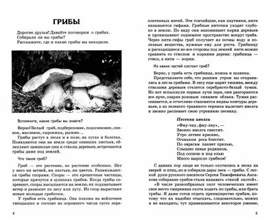 Верный грибы