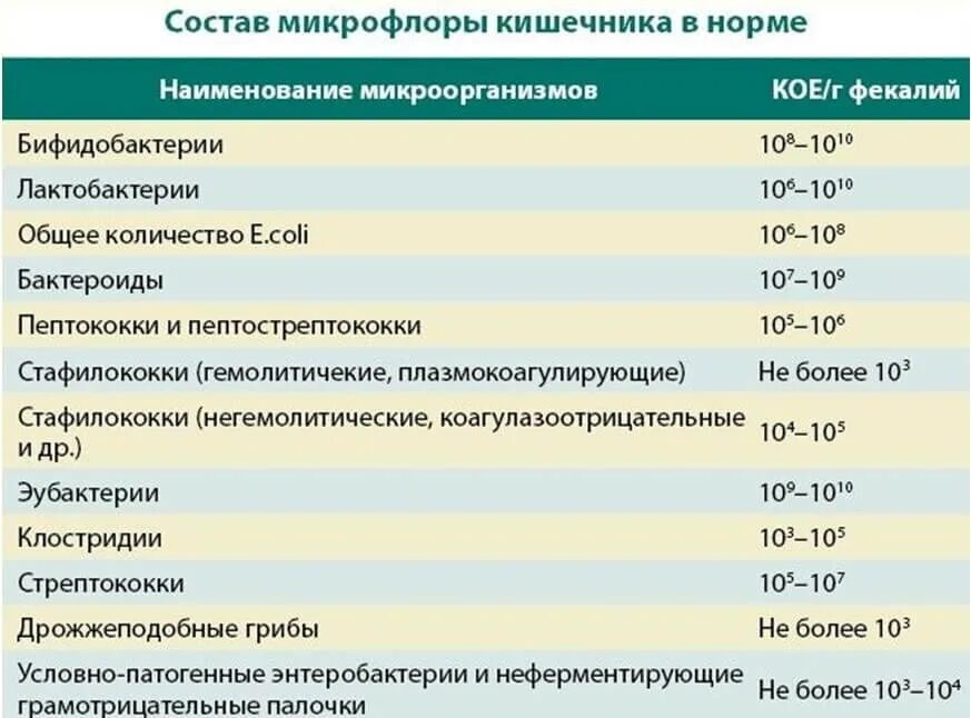 Микрофлора обнаружена что это значит. Показатели нормальной микрофлоры кишечника таблица. Нормальные показатели микрофлоры кишечника. Показатели дисбактериоза кишечника. Нормальная микрофлора кишечника.