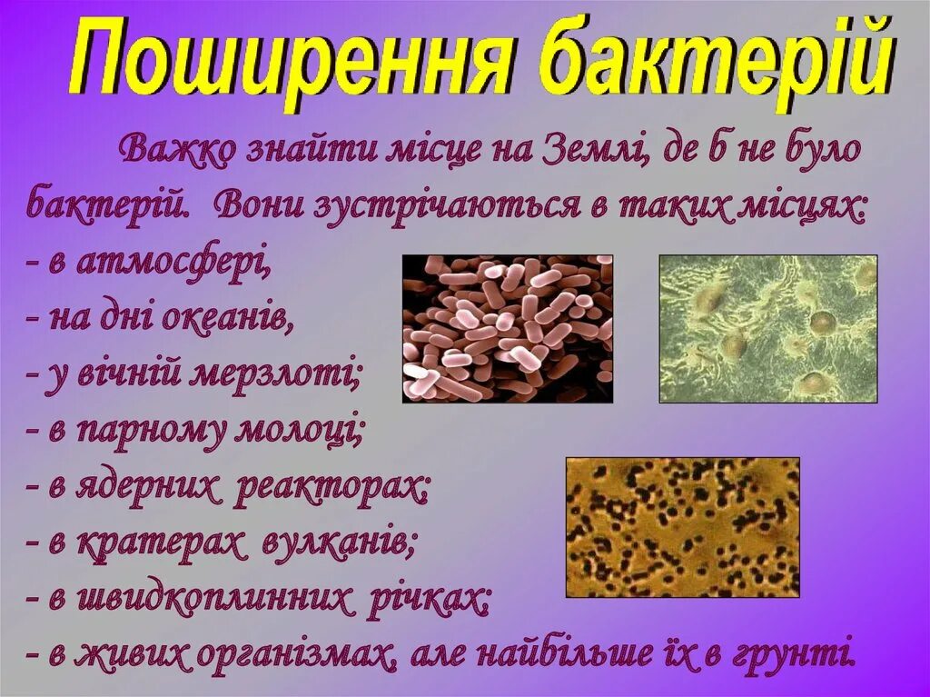 Бактерії грунтів. 5 Цікавих фактів про бактерії. На укр мові. Мументальна таблиця використання бактерії людиною. Найвідомішими корисними бактеріями є................... Общая характеристика бактерий 7 класс биология презентация