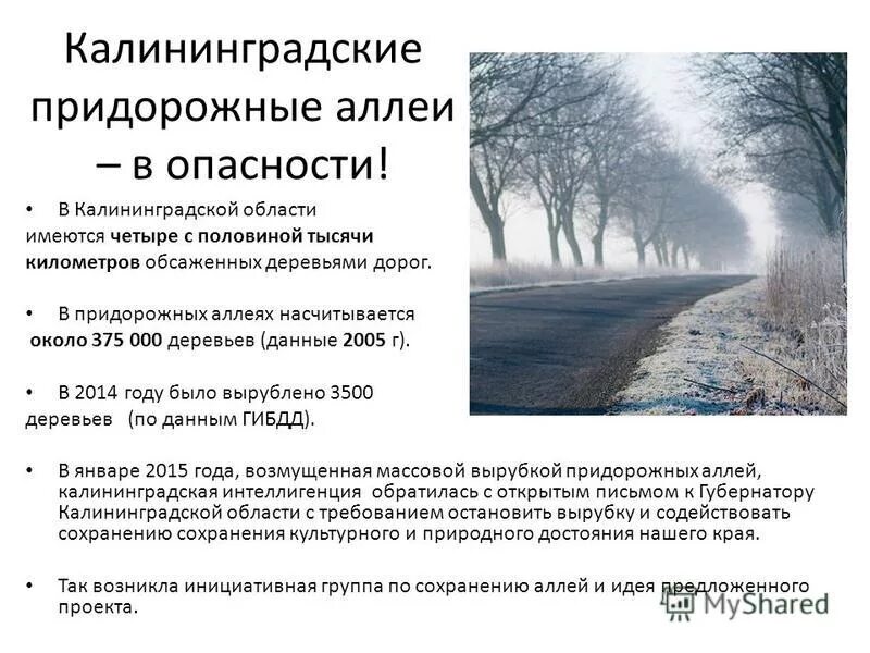 вид в парке. пергола променад. ландшафт дорожки. шпалера парк монсо. хенчинский ландшафтный парк.