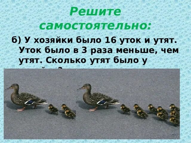 Задача сколько было уток. Сколько уток. утки сколько было уток. сколько уток на одного селезня. сколько уток на рисунке.