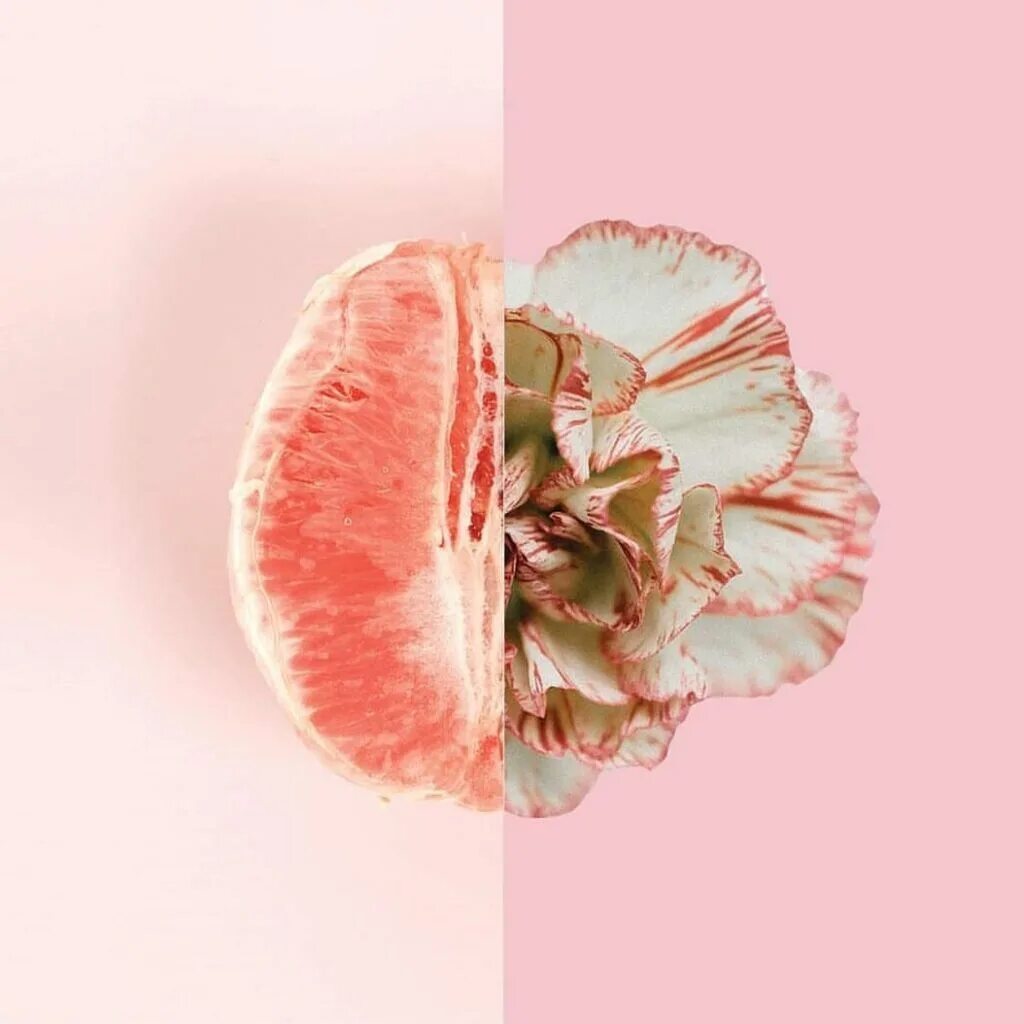 накладка для трусов для женщин. имитация половых губ. орхидея похожая на женские органы. красивый женский клитор. пластика лабиопластика.